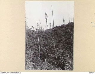 BOUGAINVILLE. 1945-09-26. ARTILLERY HILL, WHICH IS NOW OCCUPIED BY 3 DIVISION TROOPS. THE HILL SHOWS SIGNS OF DEVASTATION FROM ALLIED ATTACKS