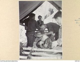 KIARIVU, NEW GUINEA, 1945-08-10. A SOLDIER SHOT IN THE LEG WHEN C COMPANY, 2/7 INFANTRY BATTALION ATTACKED KIARIVU VILLAGE, RECEIVING FRONT LINE MEDICAL AID ONLY 200 YARDS FROM JAPANESE POSITIONS. ..