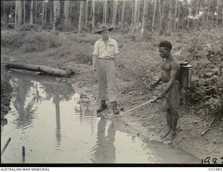 NEW GUINEA. C. 1945-01. BEATING THE BUG, MALARIA CONTROL UNITS IN NEW GUINEA HAVE REDUCED THE INCIDENCE OF THE DISEASE TO ALMOST NEGLIGIBLE PROPORTIONS. CORPORAL T. J. SELKRIG OF ASCOT VALE, VIC, ..