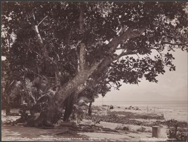 Beach at Pago Pago, Savo, with Guadalcanar in background, Solomon Islands, 1906 / J.W. Beattie