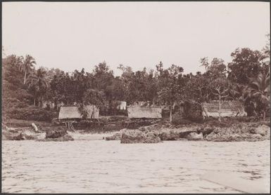 Shore houses in Graciosa Bay, Santa Cruz, Solomon Islands, 1906 / J.W. Beattie