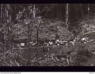 REINHOLD HIGHWAY, NEW GUINEA. 1943-08-23. JEEP CONVOY OF HEADQUARTERS, ROYAL AUSTRALIAN ENGINEERS, 11TH AUSTRALIAN DIVISION, THE FIRST CONVOY TO TRAVERSE THE NEW HIGHWAY, PHOTOGRAPHED AT PARER'S ..