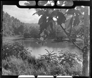 Huts and lagoon near Apia, Upolu, Samoa