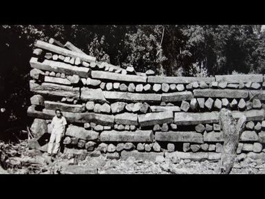 Remote Sensing Discoveries at Nan Madol | Ep.17