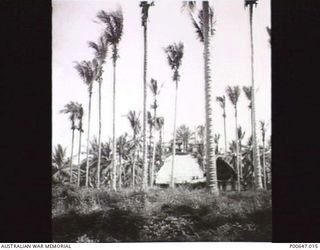 MILNE BAY, PAPUA, 1943.NO. 37 RAAF RADAR STATION INSTALLATION AFTER TREES HAD BEEN LOPPED. (DONOR - T. G. JONES.)