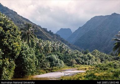 Tahiti - Mapuaura River
