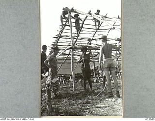 PORT MORESBY, PAPUA. 1942-07-20. AMERICAN SOLDIERS WATCHING PAPUAN NATIVES ERECTING GRASS AND WOOD HUTS WHICH WILL BE OCCUPIED BY AMERICAN TROOPS