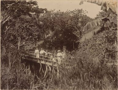 Group on a bridge in Fiji?