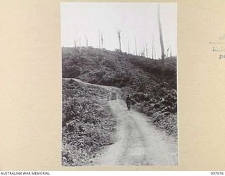 BOUGAINVILLE. 1945-09-26. THE ROAD LEADING TO THE TOP OF ARTILLERY HILL WHICH IS NOW OCCUPIED BY 3 DIVISION TROOPS. THE HILL SHOWS SIGNS OF DEVASTATION FROM ALLIED ATTACKS