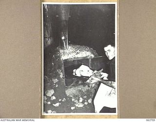 DUMPU, RAMU VALLEY, NEW GUINEA. 1943-12-25. NX18146 PRIVATE O. WALKER A COOK OF HEADQUARTERS 7TH DIVISION PLACING A CHRISTMAS TURKEY IN THE OVEN