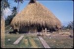 Thatched house being built in Paea, Tahiti