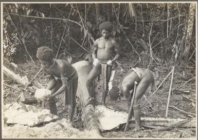 [Papuans making sago, Papua New Guinea, 3]