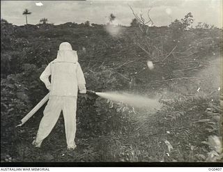 KIRIWINA, TROBRIAND ISLANDS, PAPUA. 1943-11-12. AIRCRAFTMAN 1 FARRUGIA OF YALLOURN, VIC, IN AN ASBESTOS SUIT TESTING THE FOAM FIRE FIGHTING EQUIPMENT THAT IS HELD AT EVERY AIRSTRIP TO USE IN CASE ..