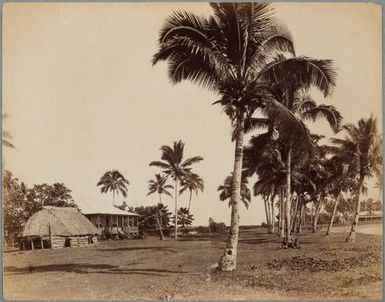 Village in Samoa