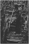 Pig festival, stake-planting, Tuguma: man pierces ground at gate with a stake, expelling enemy spirits