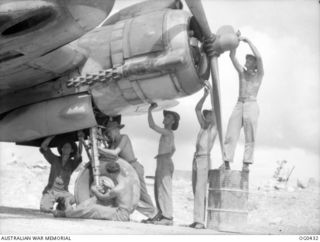 Vivigani, Goodenough Island, Papua. 1943-12-26. Riggers and fitters of No. 30 (Beaufighter) Squadron RAAF working on the wheel and propeller of the aircraft. From left: Leading Aircraftman (LAC) K. ..