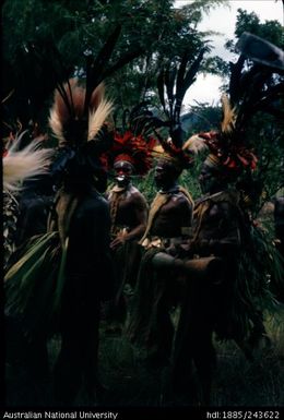 Ceremonial dancers