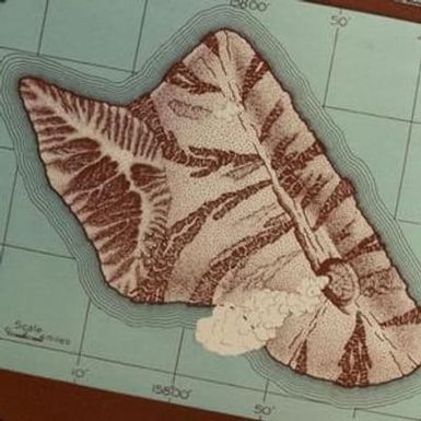 [Vintage 3-D topographic map-illustration close-up from Hawaii, United States]