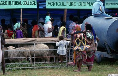 ["fotografi, photograph"]