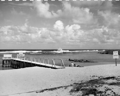 The Swimming Beach and Dock at Camp Dealey