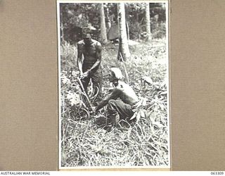 SIALUM, NEW GUINEA. 1944-01-07. WX6810 SERGEANT W. HUMBLE, MM., (LEFT) AND VX10725 STAFF SERGEANT B. J. SEGAL (RIGHT) OF HEADQUARTERS 9TH DIVISION, BLACK WITH DUST, DRIVING A TENT PEG AT THE NEW ..