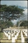 Graves at Bomana War Cemetery near Port Moresby, Papua New Guinea