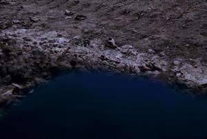 [Unidentified soil and vegetation debris at Espiritu Santo, Vanuatu]