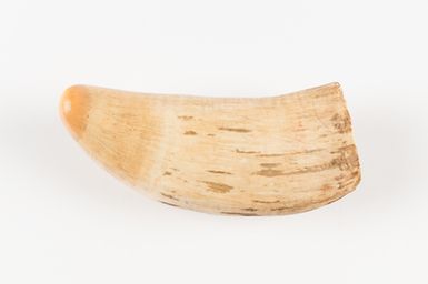 Tabua