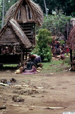 ["fotografi, photograph"]