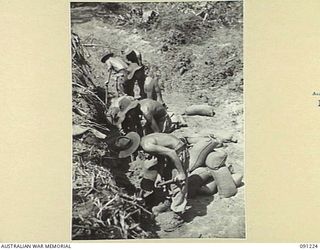 BOUGAINVILLE. 1945-04-26. SAPPERS OF 15 FIELD COMPANY, ROYAL AUSTRALIAN ENGINEERS, FILLING SAND BAGS FOR APPROACHES TO THE STOCK BRIDGE UNDER CONSTRUCTION, TO ALLOW TANKS AND SUPPLIES TO GET ..