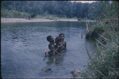 Screw River (anopheline mosquito stream-breeding) (4) : Maprik, Papua New Guinea,1959 / Terence and Margaret Spencer