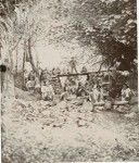 Girls of Rapa island preparing the 'popoï' (taro), in the middle of the river