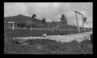 [American military cemetery, Guam]