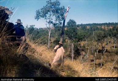 Woman hunting for echidna