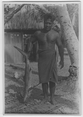 "Bock and Hessle: the expedition to the Gilbert Islands: in man dressed hip cladding, standing in front of houses, hut with shark in one hand. Text on the back: “My chef and interpreter taken from Tarawa.” : A series with a photon. 6977: 1-15. "