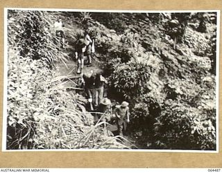MELBOURNE, VIC. 1944-03-03. COPY OF A SCENE FROM A CINE STRIP SHOWING WOUNDED AUSTRALIAN SOLDIERS MOVING DOWN A JUNGLE TRACK SOMEWHERE IN NEW GUINEA