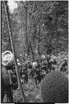 Pig festival, stake-planting, Tuguma: men watch as fight package is rubbed on tree to be felled at enemy boundary