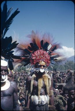 Fully decorated men (1) : The Tengerap Clan Singsing, Wahgi Valley, Papua New Guinea, 1954 / Terence and Margaret Spencer