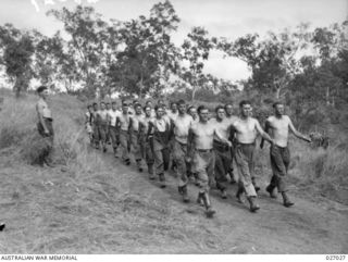 PAPUA NEW GUINEA. 1942-10. MEN OF THE 39TH AUSTRALIAN INFANTRY BATTALION MARCHING ALONG A TRACK AS PART OF THEIR PHYSICAL TRAINING DURING THEIR "BUILD UP" PROGRAM, DURING A REST PERIOD FROM THE ..