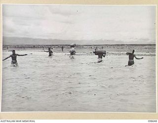 LERON RIVER, NEW GUINEA. 1945-10-31. AN EXPEDITION COMPRISING MEMBERS OF 1 MOBILE VETERINARY SURVEY UNIT, CARRIED OUT AN ANIMAL DISEASE SURVEY TOUR IN THE MARKHAM VALLEY, MOUNT HAGEN, RUMU VALLEY ..