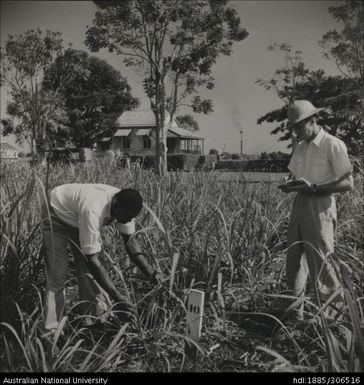 Taking notes on experimental cane