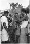 Folofo'u arranges his shell valuable for presentation