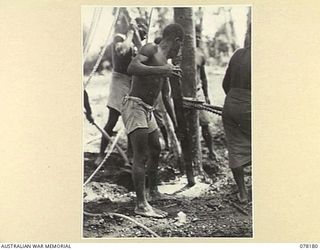 LAE, NEW GUINEA. 1945-01-03. NATIVES ERECTING ONE OF THE JURY MASTS FOR THE PERMANENT LINE ROUTE BETWEEN LAE AND PORT MORESBY WHERE IT CROSSES THE MARKHAM RIVER IN THE 19TH LINES OF COMMUNICATION ..