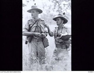 PORT MORESBY, PAPUA, 1942-07-11. MAJOR A. J. ANDERSON, 39TH AUSTRALIAN INFANTRY BATTALION, CHIEF UMPIRE, AND BRIGADIER S. H. W. C. PORTER, COMMANDING 30TH AUSTRALIAN INFANTRY BRIGADE (LEFT), ..