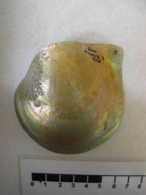 ornament