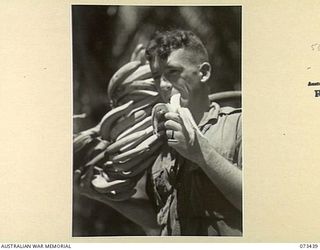 ALEXISHAFEN, NEW GUINEA. 1944-05-17. NX120476 PRIVATE B.J. BUGDEN (1), 35TH INFANTRY BATTALION, EATING A BANANA FROM A STALK CARRIED ON HIS SHOULDER