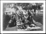 Group of people gathered about a banquet table on a lawn for a luau, Hawaii, 1907