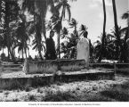 Native cemetery on Bikini Island, summer 1947