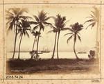 Photograph: Near Suva - Fiji