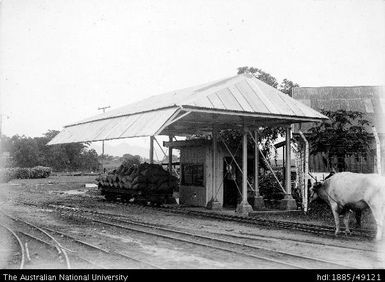 Rarawai Mill - weighbridge
